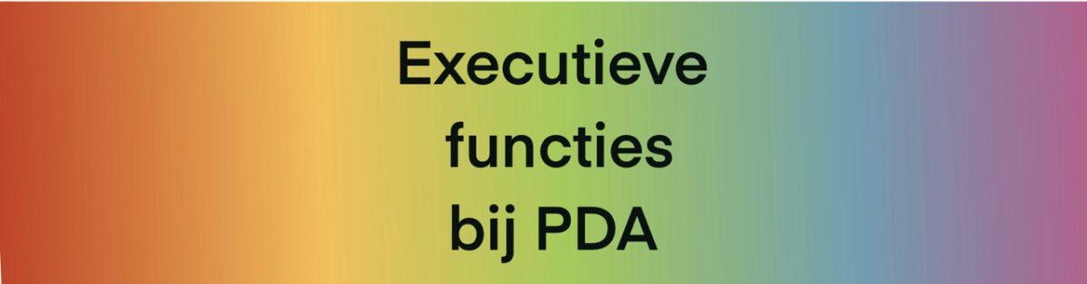 PDA, autisme en executieve functies